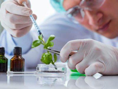 role-of-biotechnology
